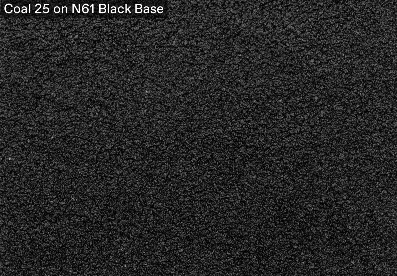 Coal 25 — N61 Black base, official APC sample